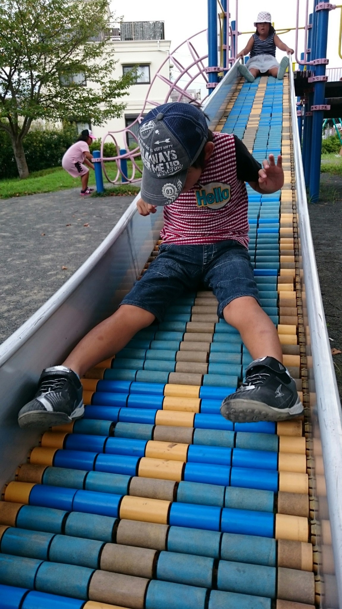 c378f830db614a8b0a872220ab54c0ead_31640930_180901_0025